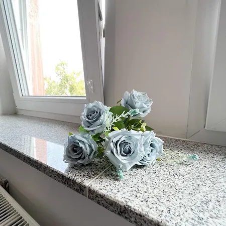 517 Zentrum Ost * Leipzig