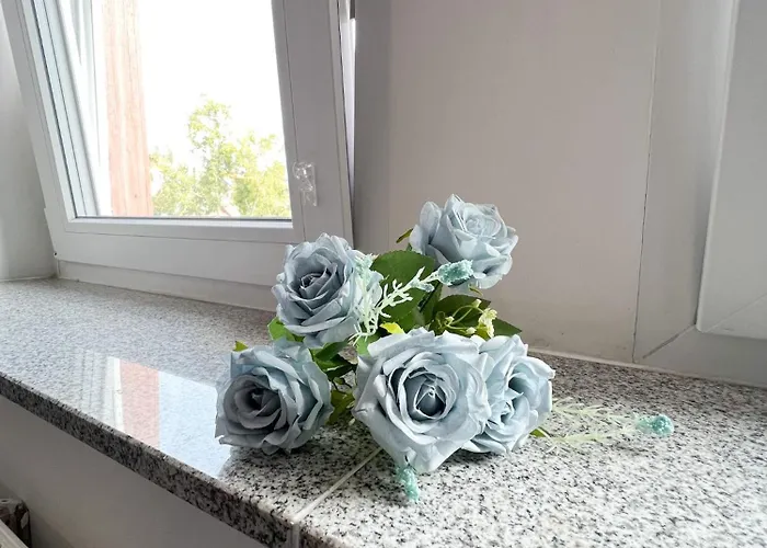 517 Zentrum Ost * Leipzig